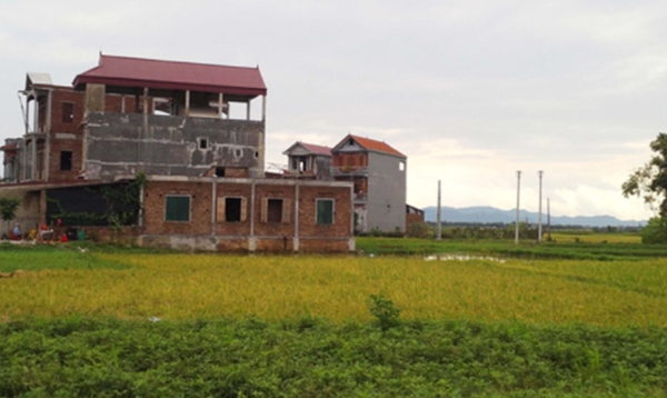 Xây nhà trên đất nông nghiệp