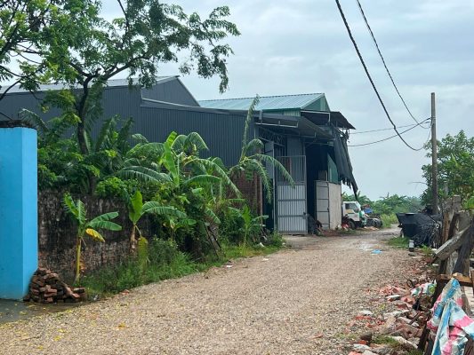 miễn truy cứu trách nhiệm lấn chiếm