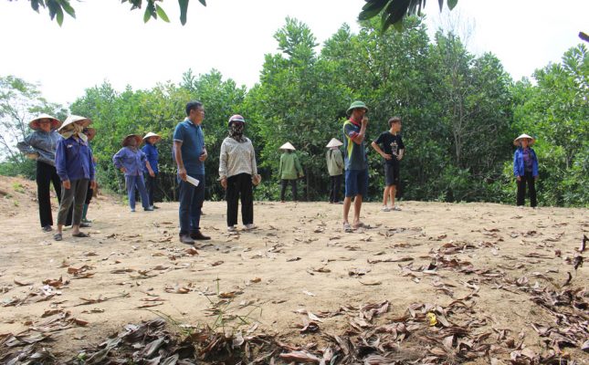 giải quyết tranh chấp đất không giấy chứng nhận